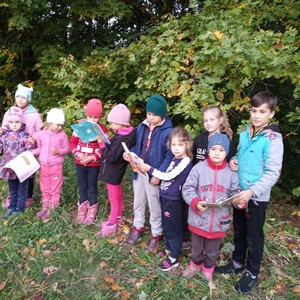 img 20200929_161736_386