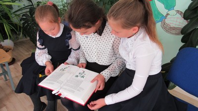 img 0035